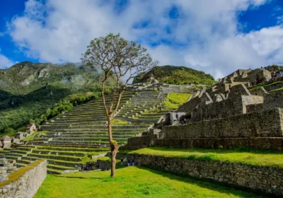 Tour a Machupicchu en Tren : Full Day Maravilla del Mundo