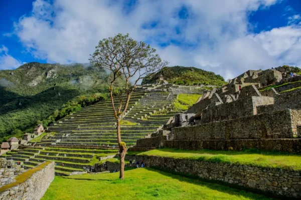 Tour a Machupicchu en Tren : Full Day Maravilla del Mundo