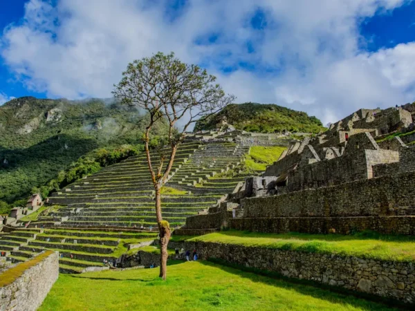 Tour a Machupicchu en Tren : Full Day Maravilla del Mundo